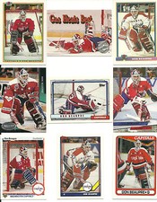 🏒 Huge 35 + Different DON BEAUPRE cards lot 1990 - 1996 Capitals Leafs Senators