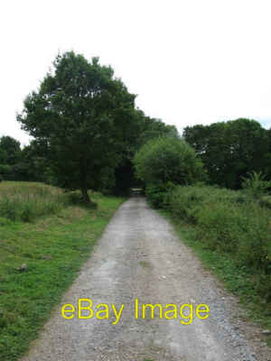 Photo 6x4 Bridleway to Waste Wood Hadlow Down Following the drive to Wood c2009