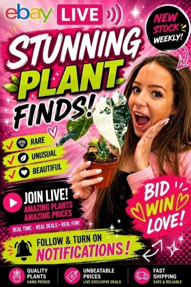 OH SO Floral Houseplants special!