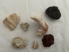 Hawaiian Lava Rock Coral Aquarium Reptile Fish Tank Decoration Natural Caves (7)