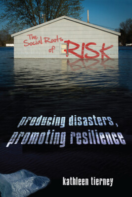 The Social Roots Of Risk: Producing Disasters, Promoting Resilience