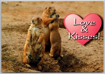 Prairie Dogs Love & Kisses Postcard - John Hinde Curteich Hugs & Kisses