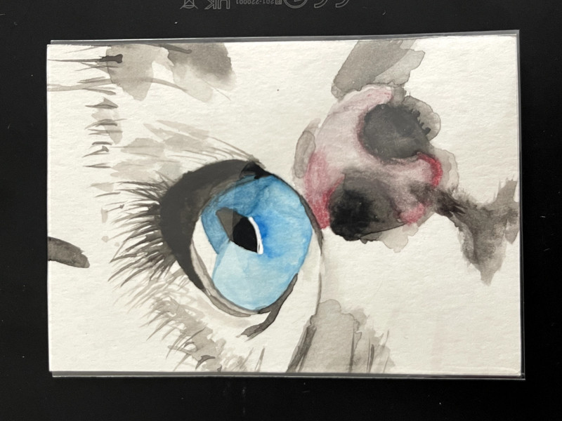 ACEO Original, Abstract Cat's Face, Mini Art Painting, by Annibbie