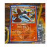 Pokémon Volcarona Team Plasma 13/101 Plasma Blast Rare Stage 1 100 HP 2013