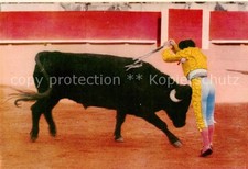 Stierkampf Corrida de Toros Bullfight Spanien National festi Bull Fight