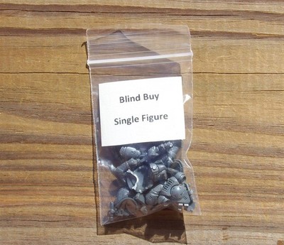 40K Space Marines _Primaris Intercessor w/ Bolt Rifle Blind Buy Single Figure