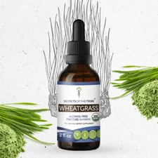 Secrets Of The Tribe Wheatgrass Tincture Alcohol-FREE