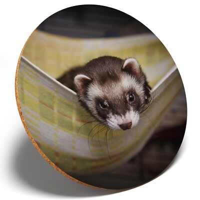 1 x Adorable Baby Ferret - Round Coaster Kitchen Student Kids Gift ...