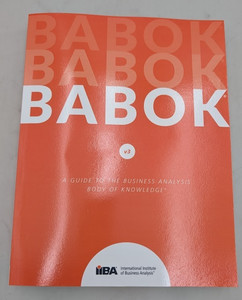 Babok V3 | eBay
