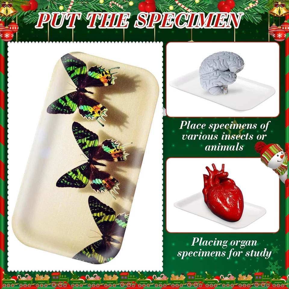 Bandejas de carne de espuma de 300 piezas bandejas artesanales de espuma blanca platos de comida desechables a granel Foto 4 de 4