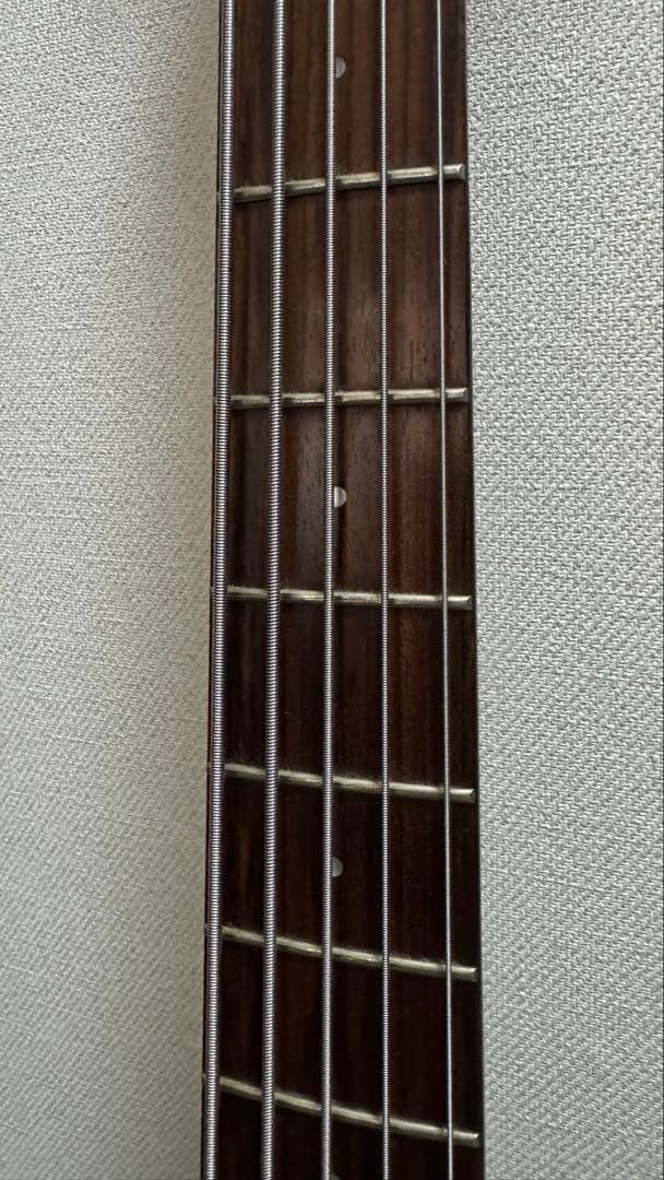5-string Aria Pro II IGB-STDIII5 Safe Packing! | eBay