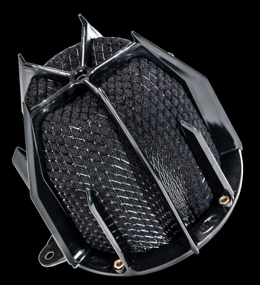 Ford Ranger 2002-2004 4 cilindros (solo placa MAF) admisión RAM corta Black Dragon Foto 2 de 3