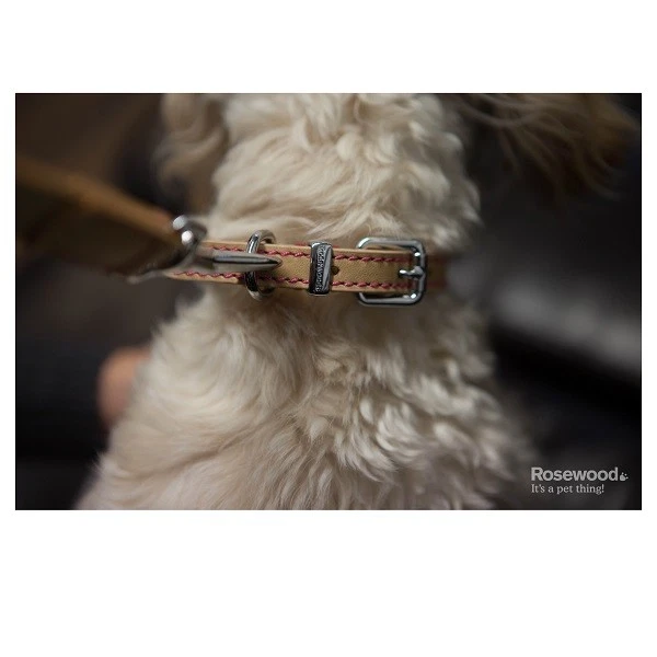 Rosewood Luxury Leather Dog Collar / Lead Puppy with Decorative Buttons & Charms - Image 3 of 4