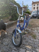 Graziella Carnielli Acquisti Online su