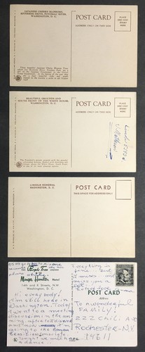 Washington DC Postcards Lincoln Memorial Cherry Blossoms Grounds Manger Hamilton - Picture 4 of 4
