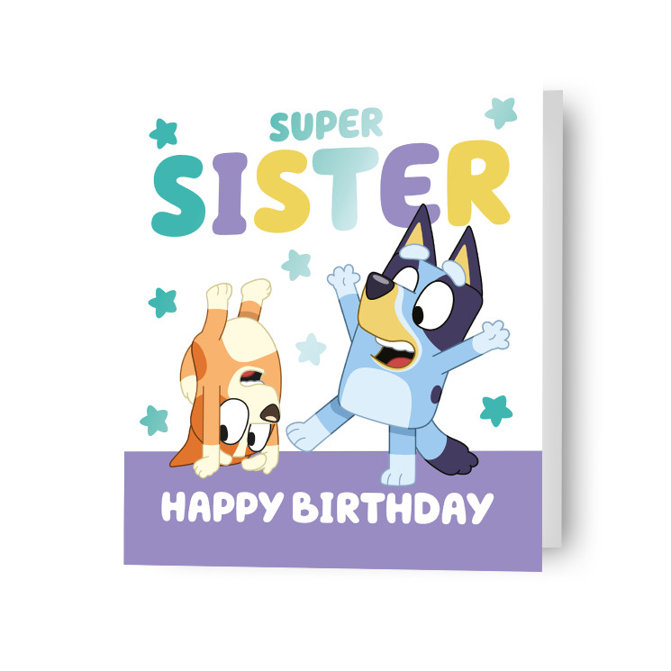 Sister Birthday Card Bluey Girls Birthday Card Includes Envelope 7 x 6 Inch