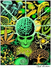 Paul Kirchner "Dope Rider" Art Print, Signed & Sold by Artist, 8.5" x 11"