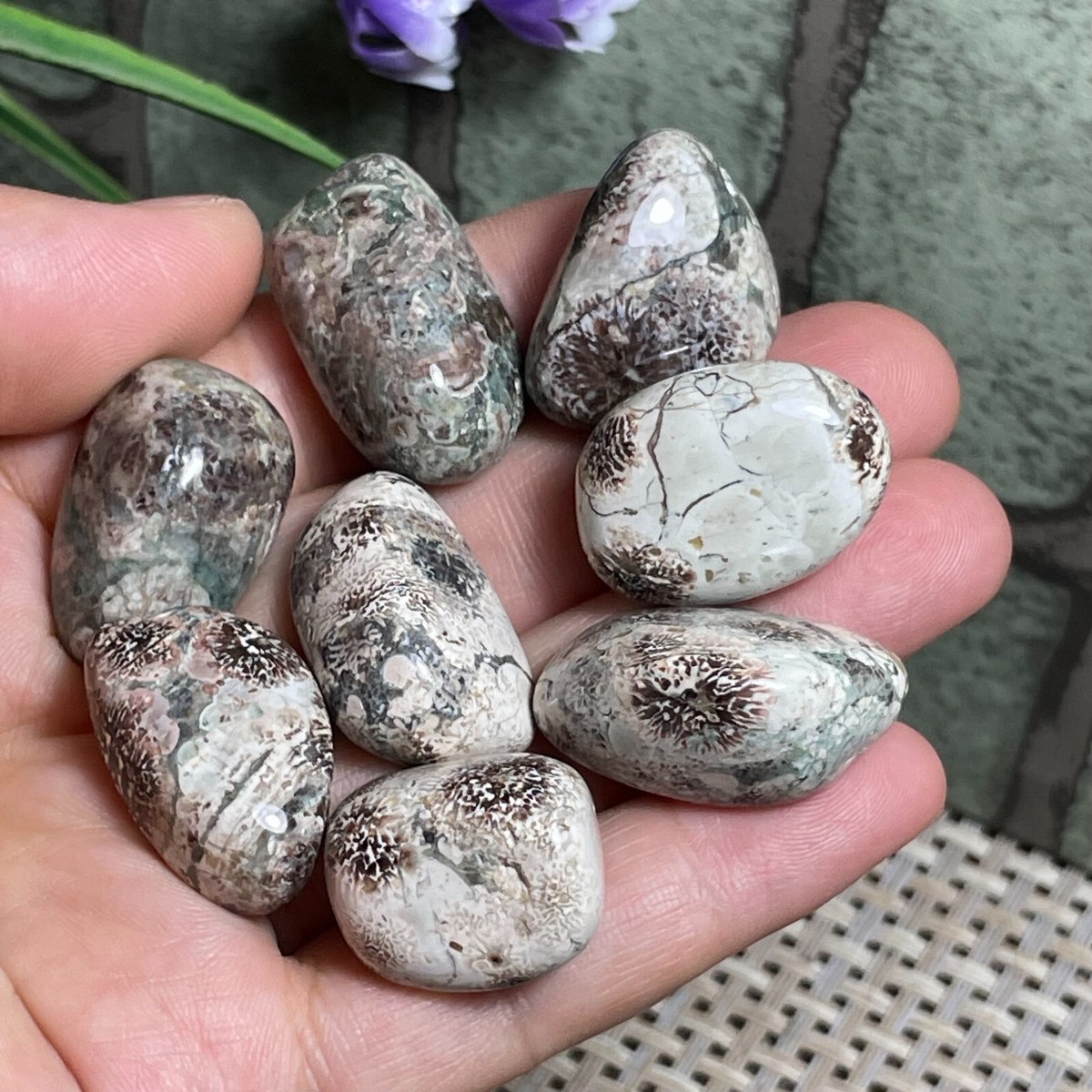 8pcs Green Flower Cherry Firework Russian Stone Rhyolite Rare