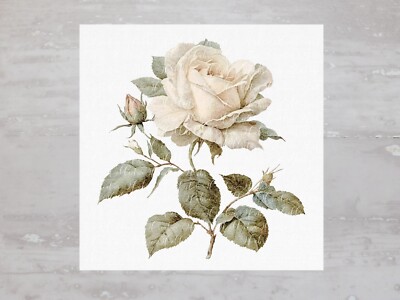 Beautiful Single Shabby Chic Ivory Rose Fabric Panel Sewing Quilting Block A207