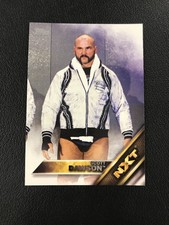 2016 Topps WWE Then Now Forever #13 Scott Dawson NXT Prospects Wrestling