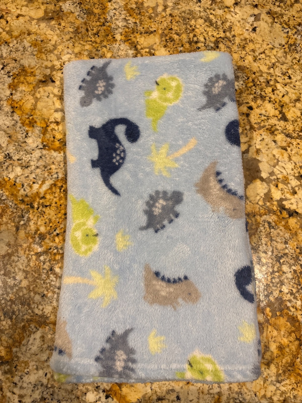 Parent's Choice Soft Plush Blue Dinosaur Baby Blanket