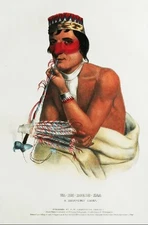 McKenney and Hall Original Folio Edition Hand Colored Lithograph