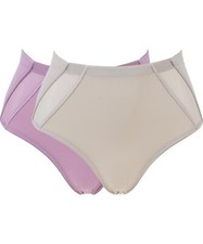 Rhonda Shear 2-pack Mesh Detail Brief Dove Gray/Lavender Mist