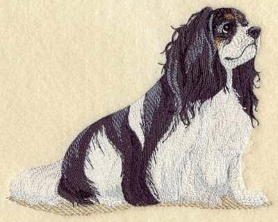 CAVALIER KING CHARLES Spaniel Personalized Embroidered Fleece Stadium Blanket