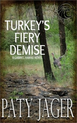 Turkey's Fiery Demise: Gabriel Hawke Novel (Paperback or Softback)