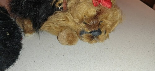 Perfect Petzzz Cat Black & White & Dog Realistic Breathing Sleep Stuffed Plush - Picture 3 of 5