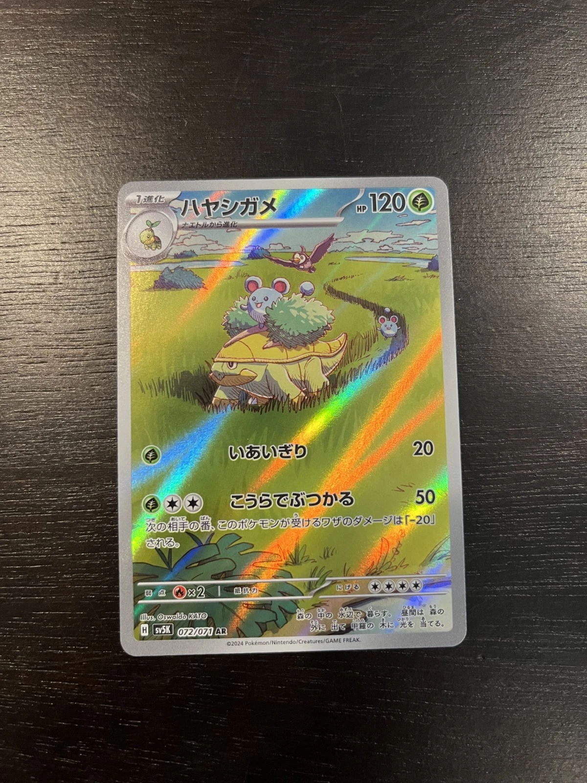 ★PSA10★【ハヤシガメ/AR/SV5K】GROTLE 072/071 Grotle AR #072/071 - Pokémon Wild Force (sv5k) Japanese