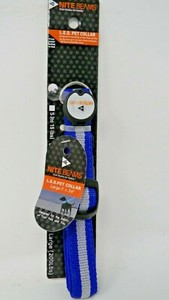 nite beams dog collar