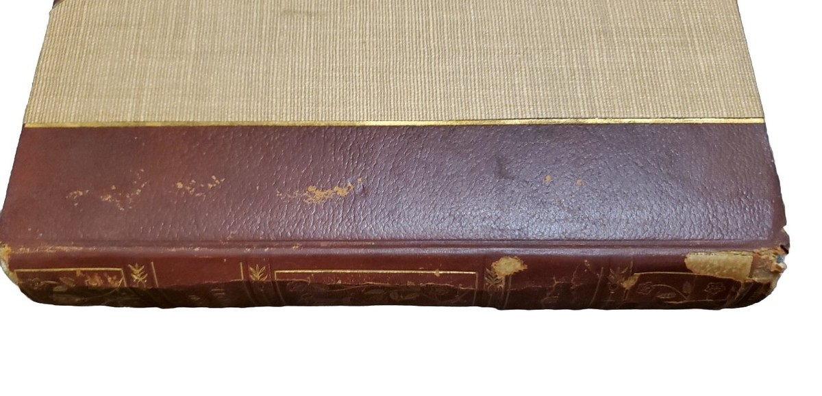 Don Quixote Of La Mancha 4 Volumes, Edition Deluxe Limited Don Quixote Of La Mancha 4 Volumes, Edition Deluxe Limited