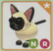 selling neon ride siamese cat  look at description