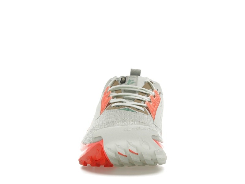 Size 11 - Nike Pegasus Trail 5 GORE-TEX Light Silver Wild Mango