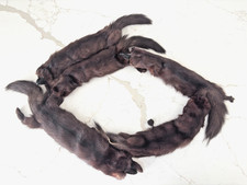 Vintage Genuine 1940's Mink Stole Five 5 Pelts w/tails/feet Brown/Red Mahogany