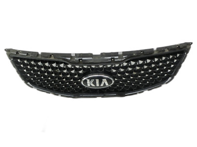 Frontgrill Kühlergrill Grill GITTER-KUEHLER für Kia Sportage SL 10-15 E5B 124tkm
