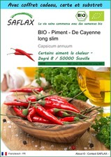 SAFLAX Kit cadeau - BIO - Piment - De Cayenne long slim - 10 graines - Capsicum