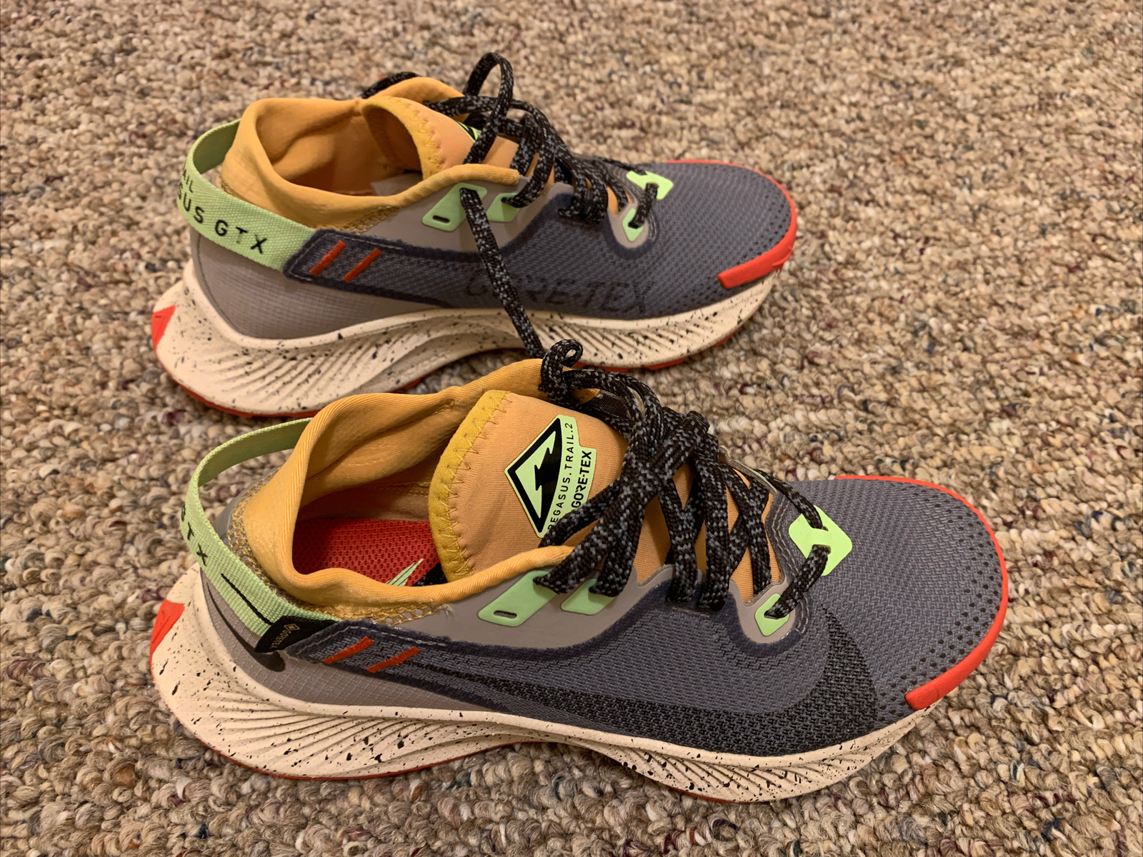 Nike Pegasus Trail 2 GORE-TEX Women's 