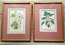 Antique Chromolithograph Prints Verschaffelt Azeala Fuschia Gilt Frames Set/2