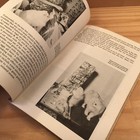 Picture 22 of 22