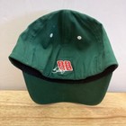 DALE EARNHARDT JR. Green/White "AMP ENERGY" Official NASCAR Fitted Hat (OSFA) — photo 2