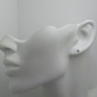 Bild 11 von 12