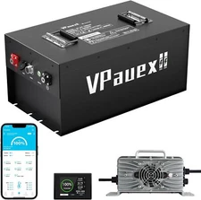 48V 160Ah Lithium LiFePO4 Golf Cart Battery, MobileAPP,Touch Monitor 22A Charger