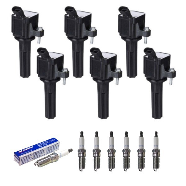 Set of 6 Ignition Coils  ACDelco Spark Plugs for Rainier Trailblazer Envoy 9-7x