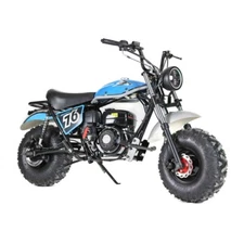 Trailmaster Hurricane 200 Pro Mini Bike with Torque Converter & Electric Start