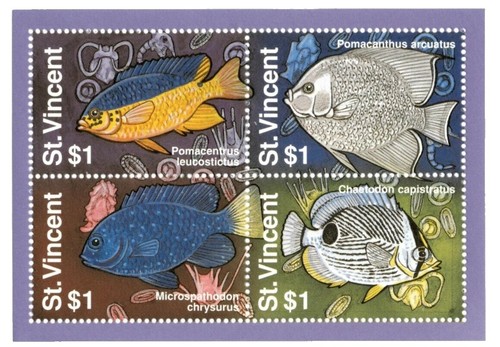 Permis De Pêche Saumon Washington State 1980 Avec Timbre - Vintage, Bon état