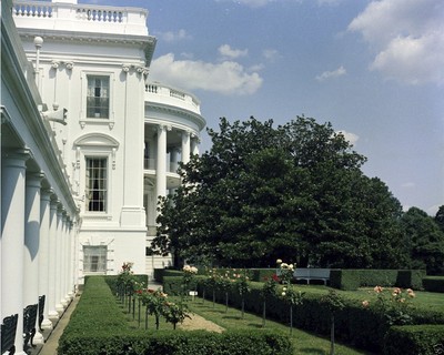 Rose Garden of the White House during Kennedy Administration JFK New 8x10 Photo