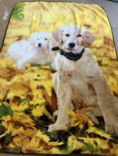 Labrador Retriever Polyester Double Sided Throw Blanket 48" X 69"