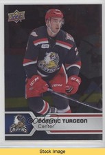 2017-18 Upper Deck AHL Silver Foil Dominic Turgeon #62 READ 0l2